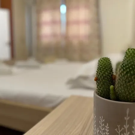 Rias Seaside アパート *