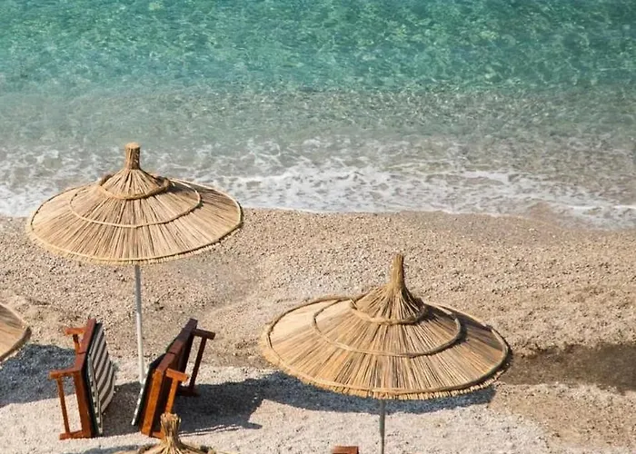 Rias Seaside * فلورا